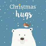 Mini Christmas Hug Hamper