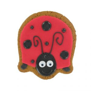 Iced 'Ladybird' Gingerbread Biscuit