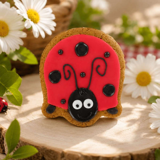Iced ‘Good Luck Ladybird' Gingerbread Biscuit