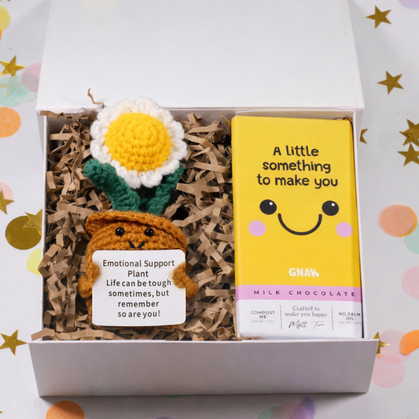 Mini Cheer Up Gift Box – Cheerful Positive Pal Care Package
