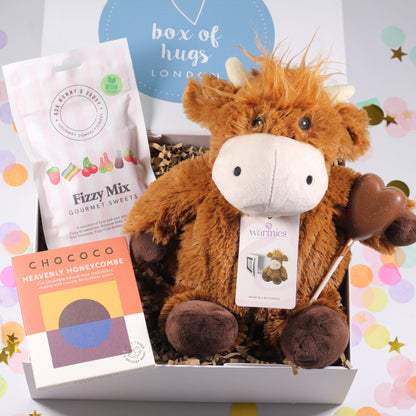 A gift box containing a Warmies heatable plush toy, a pouch of fizzy mix sweets, a chocolate bar, and a  chocolate heart lollipop