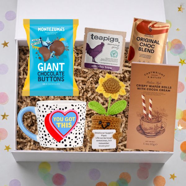Thinking of You Gift Box – Love You & You’ve Got This Care Package