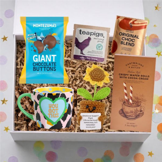 Thinking of You Gift Box – Love You & You’ve Got This Care Package