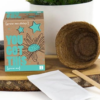 Grow Me: You Got This - Daisy Plant