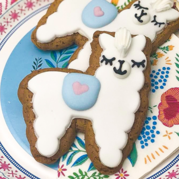Iced LLama Gingerbread Biscuit