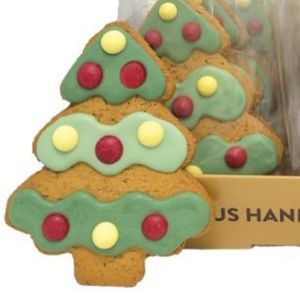 Iced 'Christmas Tree' Gingerbread Biscuit